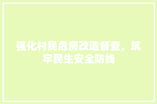 强化村民危房改造督查，筑牢民生安全防线 景观设计