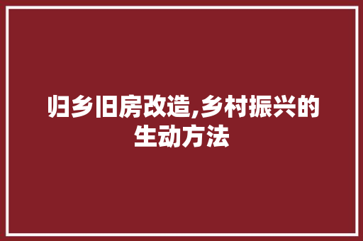 归乡旧房改造,乡村振兴的生动方法