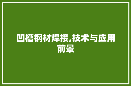 凹槽钢材焊接,技术与应用前景