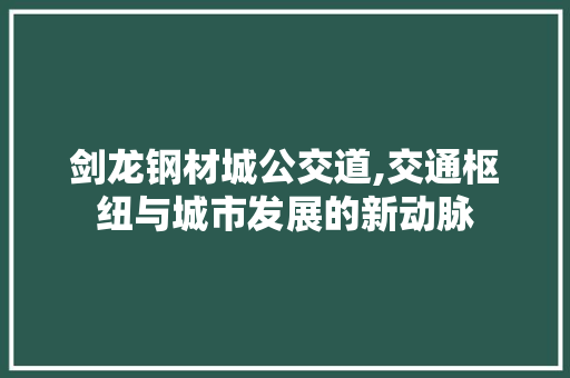 剑龙钢材城公交道,交通枢纽与城市发展的新动脉