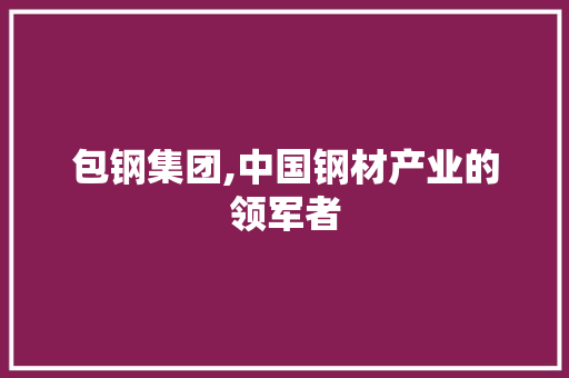 包钢集团,中国钢材产业的领军者