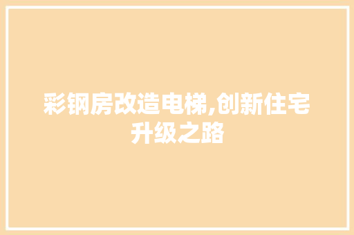 彩钢房改造电梯,创新住宅升级之路