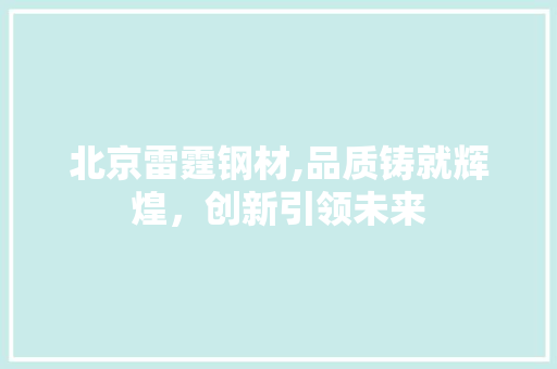 北京雷霆钢材,品质铸就辉煌，创新引领未来