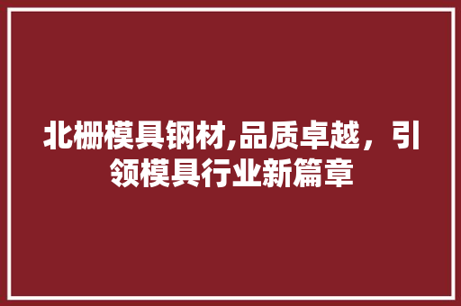 北栅模具钢材,品质卓越，引领模具行业新篇章