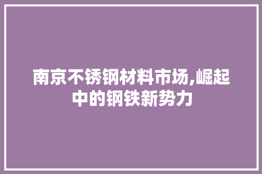 南京不锈钢材料市场,崛起中的钢铁新势力