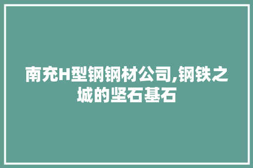 南充H型钢钢材公司,钢铁之城的坚石基石