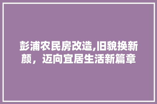 彭浦农民房改造,旧貌换新颜，迈向宜居生活新篇章