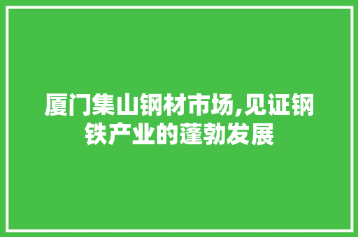 厦门集山钢材市场,见证钢铁产业的蓬勃发展