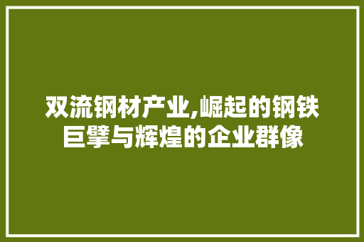 双流钢材产业,崛起的钢铁巨擘与辉煌的企业群像