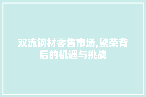 双流钢材零售市场,繁荣背后的机遇与挑战