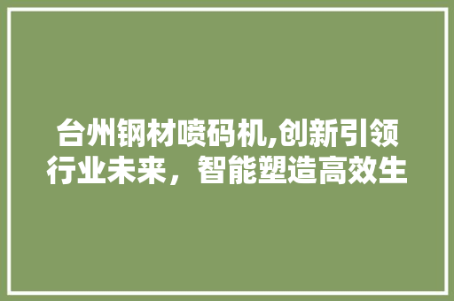 台州钢材喷码机,创新引领行业未来，智能塑造高效生产