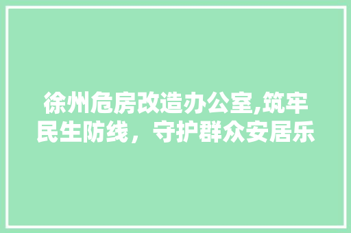徐州危房改造办公室,筑牢民生防线，守护群众安居乐业