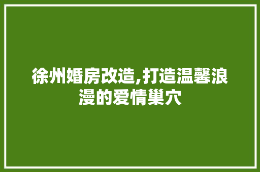 徐州婚房改造,打造温馨浪漫的爱情巢穴