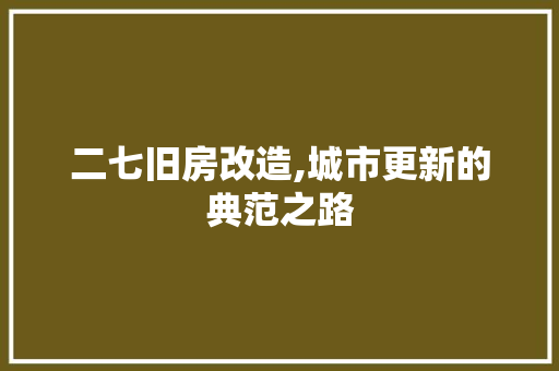 二七旧房改造,城市更新的典范之路
