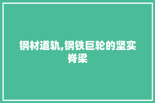 钢材道轨,钢铁巨轮的坚实脊梁