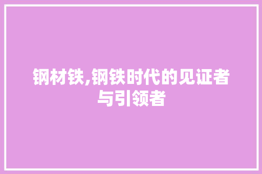 钢材铁,钢铁时代的见证者与引领者