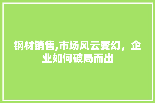 钢材销售,市场风云变幻，企业如何破局而出