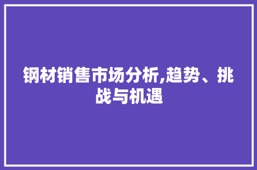 钢材销售市场分析,趋势、挑战与机遇