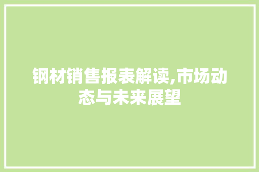 钢材销售报表解读,市场动态与未来展望