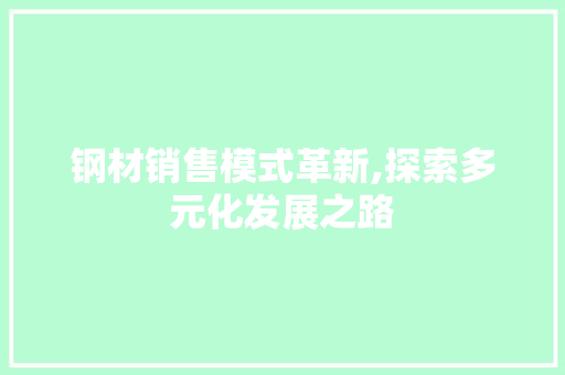 钢材销售模式革新,探索多元化发展之路