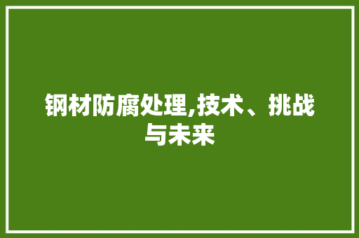 钢材防腐处理,技术、挑战与未来