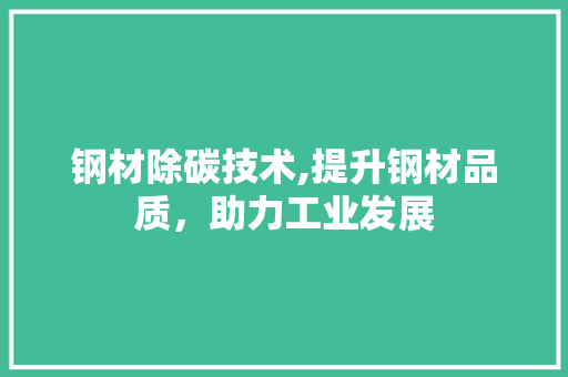 钢材除碳技术,提升钢材品质，助力工业发展