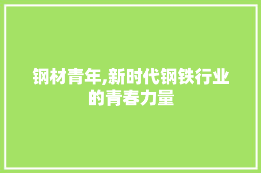钢材青年,新时代钢铁行业的青春力量