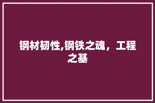 钢材韧性,钢铁之魂，工程之基