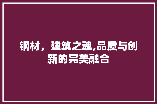 钢材，建筑之魂,品质与创新的完美融合
