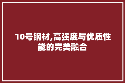 10号钢材,高强度与优质性能的完美融合