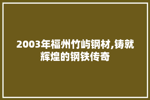 2003年福州竹屿钢材,铸就辉煌的钢铁传奇