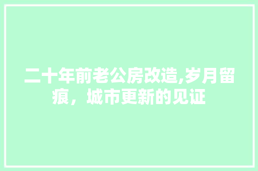 二十年前老公房改造,岁月留痕，城市更新的见证