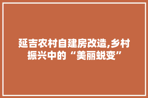 延吉农村自建房改造,乡村振兴中的“美丽蜕变” 景观设计