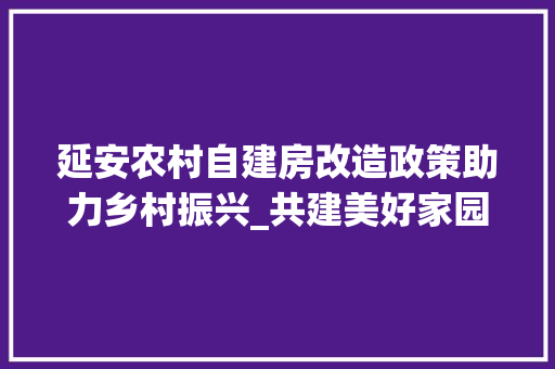 延安农村自建房改造政策助力乡村振兴_共建美好家园