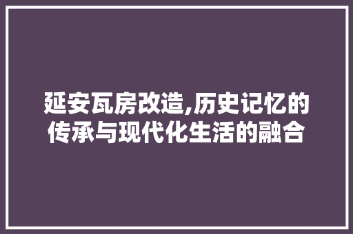 延安瓦房改造,历史记忆的传承与现代化生活的融合