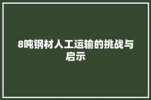 8吨钢材人工运输的挑战与启示