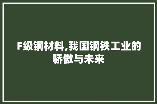 F级钢材料,我国钢铁工业的骄傲与未来