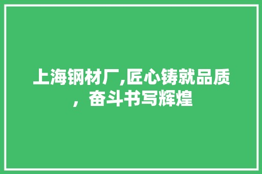 上海钢材厂,匠心铸就品质，奋斗书写辉煌