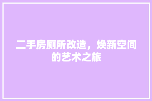 二手房厕所改造，焕新空间的艺术之旅 隔断设计
