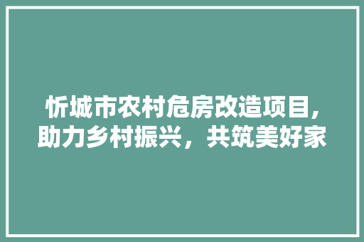 忻城市农村危房改造项目,助力乡村振兴，共筑美好家园