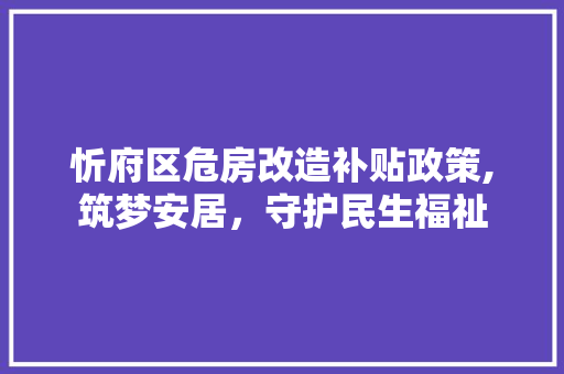 忻府区危房改造补贴政策,筑梦安居，守护民生福祉 庭院装修