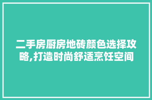 二手房厨房地砖颜色选择攻略,打造时尚舒适烹饪空间