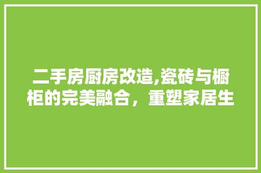二手房厨房改造,瓷砖与橱柜的完美融合，重塑家居生活品质