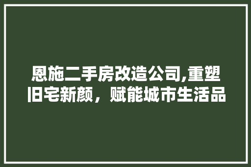 恩施二手房改造公司,重塑旧宅新颜，赋能城市生活品质