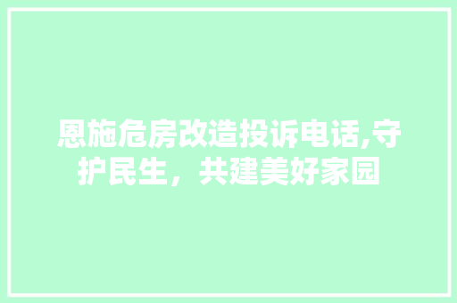 恩施危房改造投诉电话,守护民生，共建美好家园 装修材料