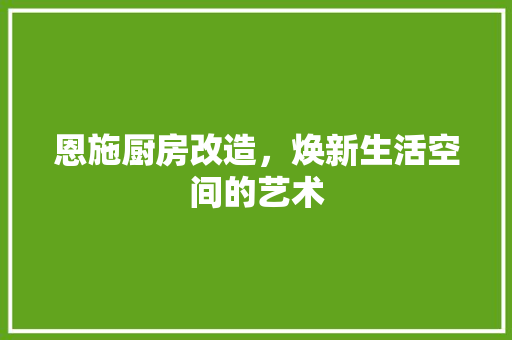恩施厨房改造，焕新生活空间的艺术