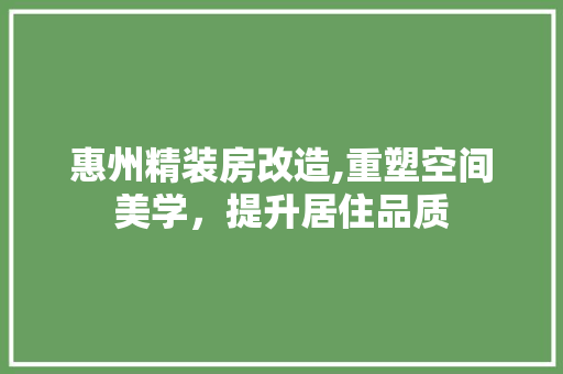 惠州精装房改造,重塑空间美学，提升居住品质