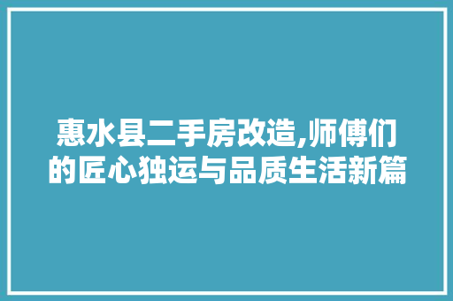 惠水县二手房改造,师傅们的匠心独运与品质生活新篇章