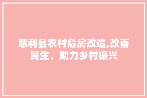 慈利县农村危房改造,改善民生，助力乡村振兴
