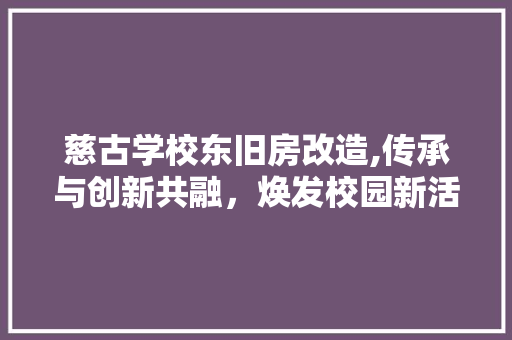 慈古学校东旧房改造,传承与创新共融，焕发校园新活力